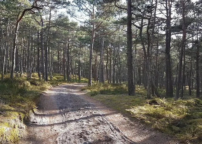 Homebaltic Apartment Leba